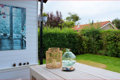 Terras / Tuin